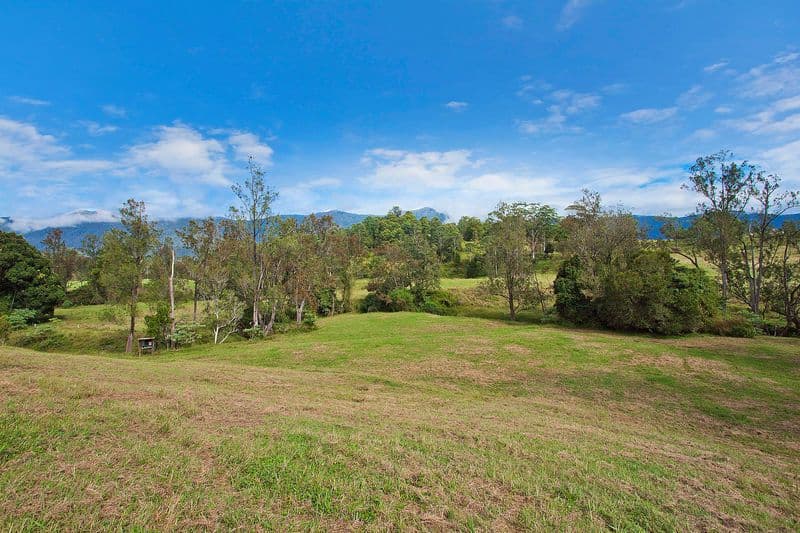698 Brays Creek Road, TYALGUM NSW 2484, Tyalgum - Image 1