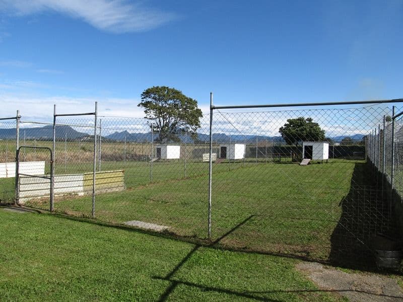 392 Racecourse Road, MURWILLUMBAH NSW 2484, Murwillumbah - Thumbnail 5