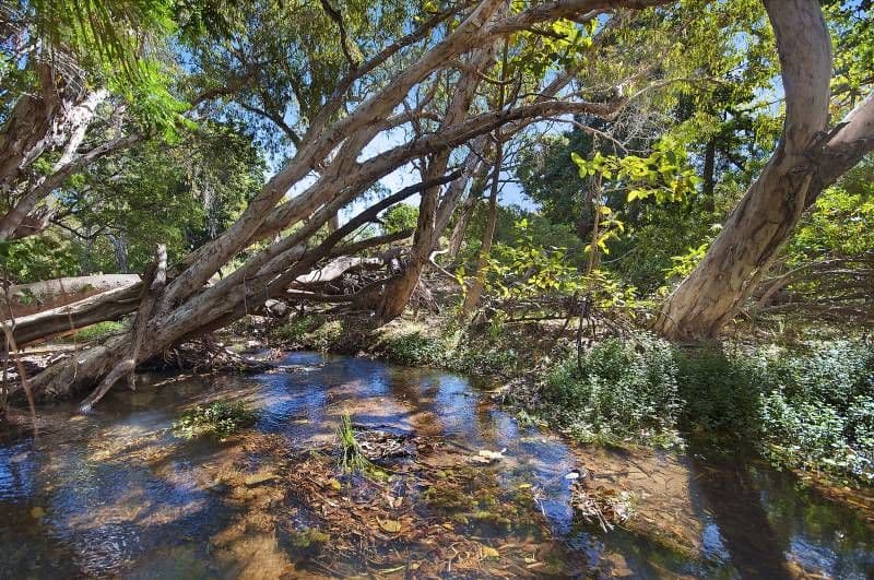 56-76 Williams Road, ALLIGATOR CREEK QLD 4816, Alligator Creek - Thumbnail 7