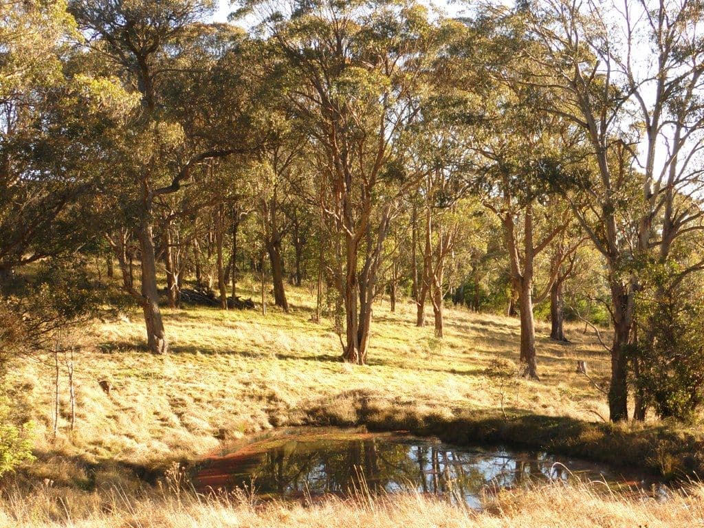 BLACK MOUNTAIN NSW 2365, Black Mountain - Image 1