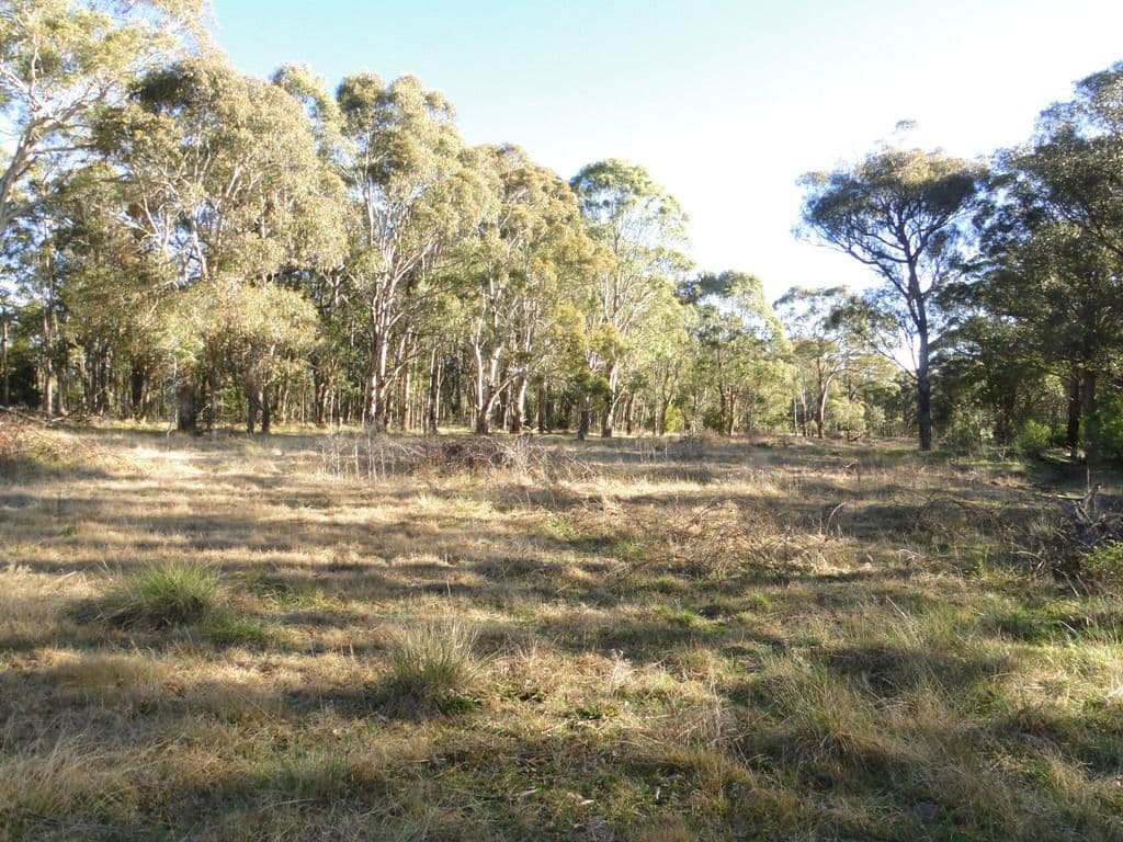 BLACK MOUNTAIN NSW 2365, Black Mountain - Thumbnail 3