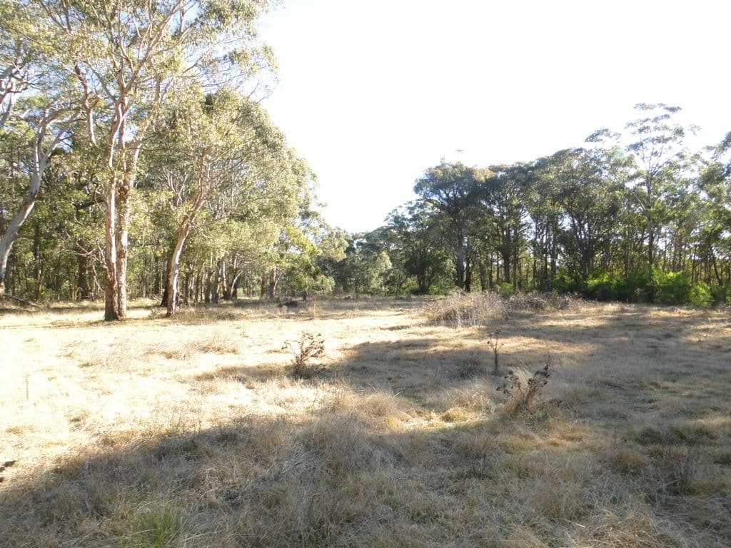 BLACK MOUNTAIN NSW 2365, Black Mountain - Thumbnail 2