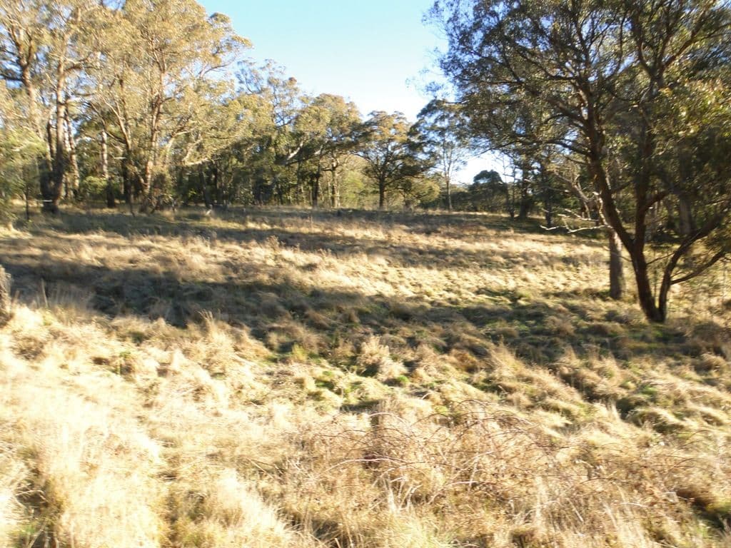 BLACK MOUNTAIN NSW 2365, Black Mountain - Thumbnail 5