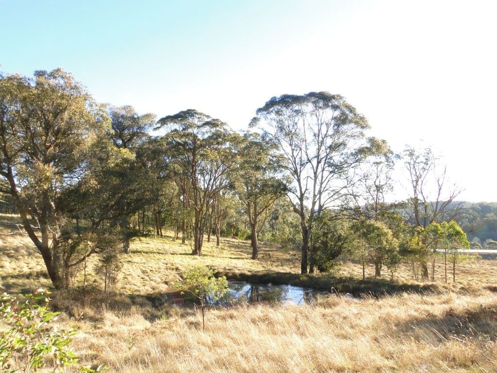 BLACK MOUNTAIN NSW 2365, Black Mountain - Thumbnail 4