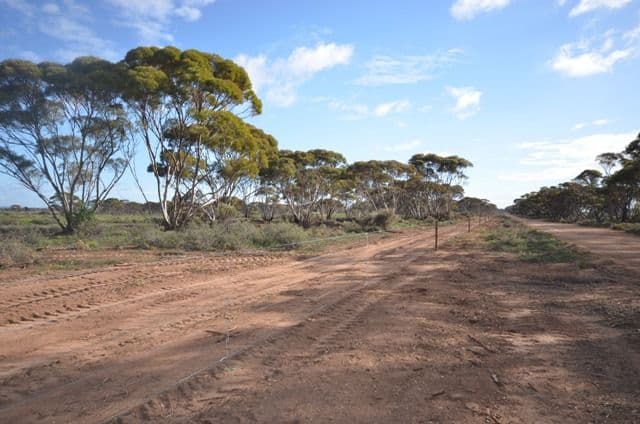 "Neindorfs" Powerline Road, Bundey via, ROBERTSTOWN SA 5381, Robertstown - Thumbnail 5