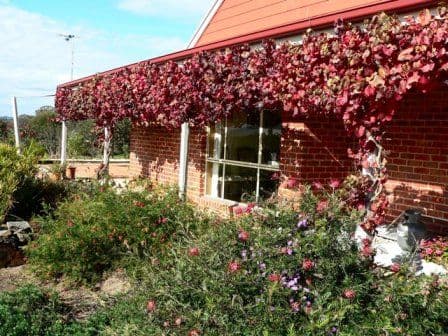 33 Water Trust Road, CHILTERN VIC 3683, Chiltern - Thumbnail 5