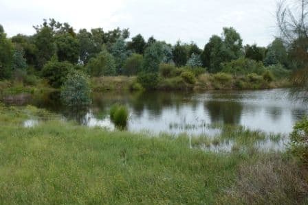 33 Water Trust Road, CHILTERN VIC 3683, Chiltern - Thumbnail 6