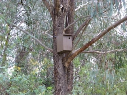 33 Water Trust Road, CHILTERN VIC 3683, Chiltern - Thumbnail 7