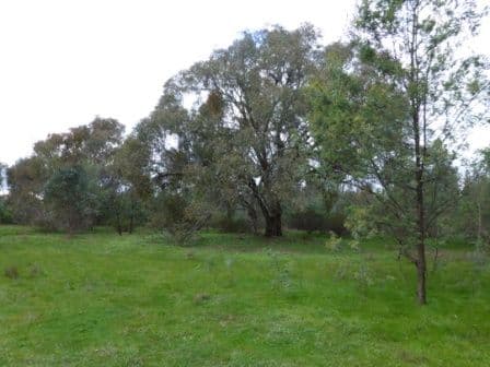 33 Water Trust Road, CHILTERN VIC 3683, Chiltern - Thumbnail 8