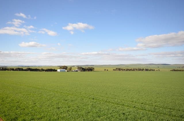 'OLGAVALE' Various Secs, FARRELL FLAT SA 5416, Farrell Flat - Image 1