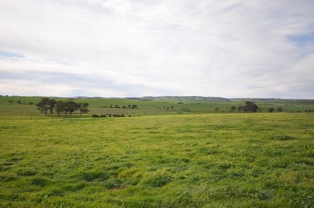 "Kurrum Burra" Various Secs, RIVERTON SA 5412, Riverton - Thumbnail 4