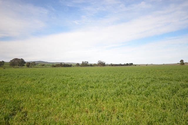 "Kurrum Burra" Various Secs, RIVERTON SA 5412, Riverton - Thumbnail 6