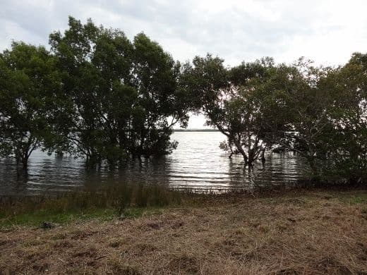70 Deenya Parade, RUSSELL ISLAND QLD 4184, Russell Island - Image 1