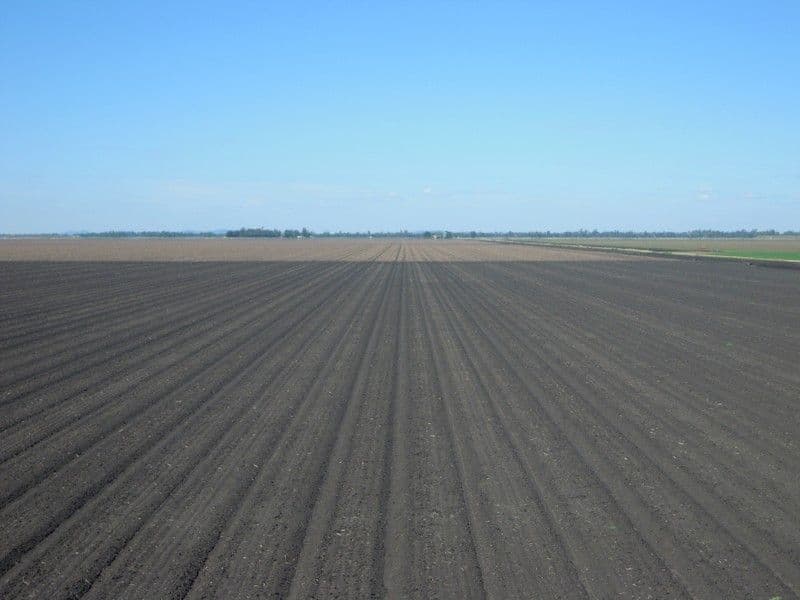 6388 Gore Highway, PITTSWORTH QLD 4356, Pittsworth - Thumbnail 2
