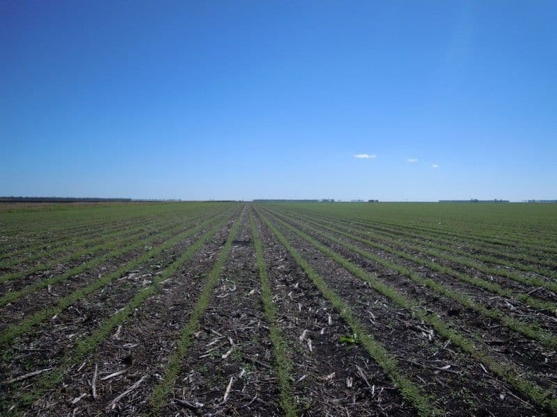 6388 Gore Highway, PITTSWORTH QLD 4356, Pittsworth - Thumbnail 3