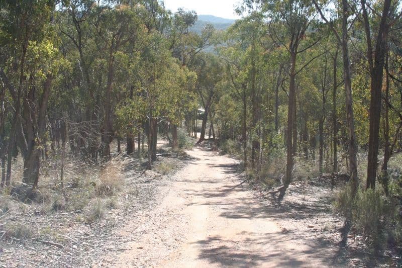 1006 Tea Tree Road, LYNDHURST NSW 2350, Lyndhurst - Thumbnail 6