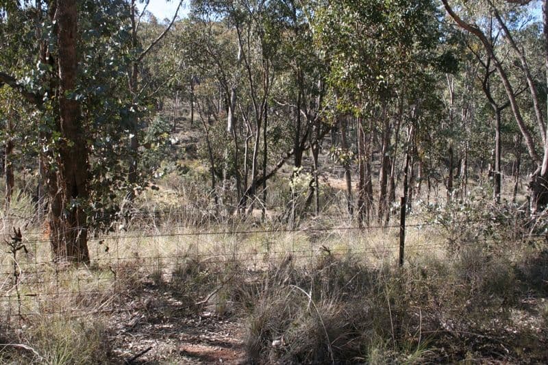 1006 Tea Tree Road, LYNDHURST NSW 2350, Lyndhurst - Thumbnail 5
