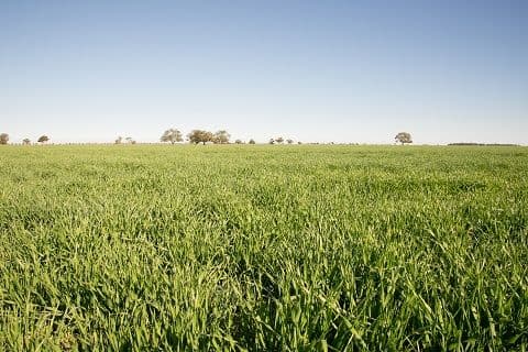 WOODSIDE Carinda Road, COONAMBLE NSW 2829, Coonamble - Image 1