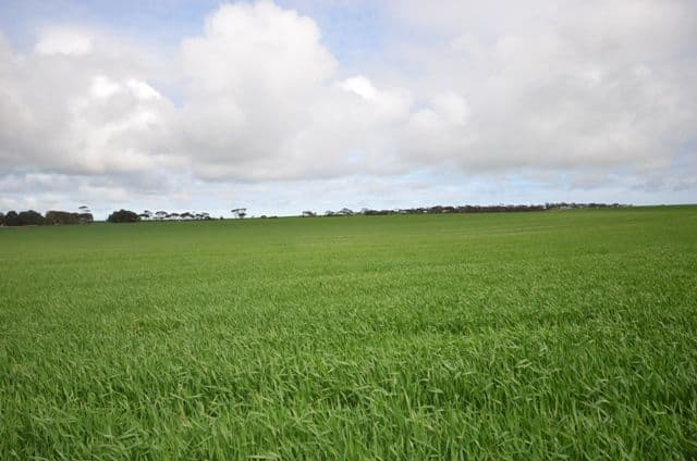 "Sampsons" Port Lorne Road, PINERY SA 5460, Pinery - Thumbnail 3