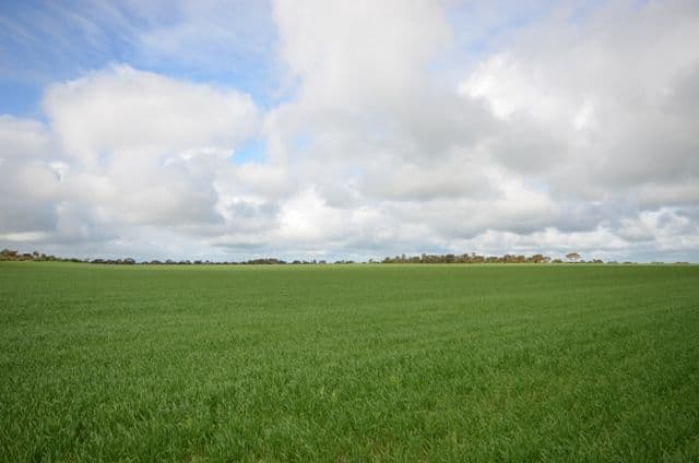 "Sampsons" Port Lorne Road, PINERY SA 5460, Pinery - Image 1