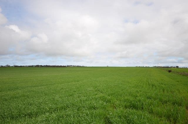 "Sampsons" Port Lorne Road, PINERY SA 5460, Pinery - Thumbnail 4
