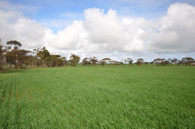 "Sampsons" Port Lorne Road, PINERY SA 5460, Pinery - Thumbnail 2