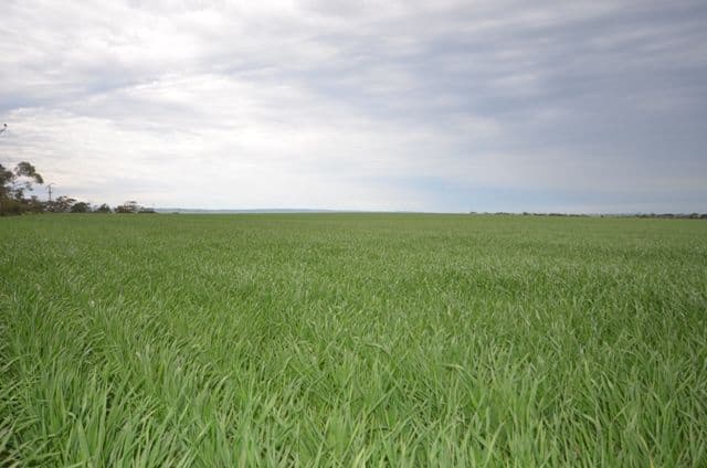 Lot 16 James Eckermann Road, HART SA 5464, Hart - Thumbnail 2