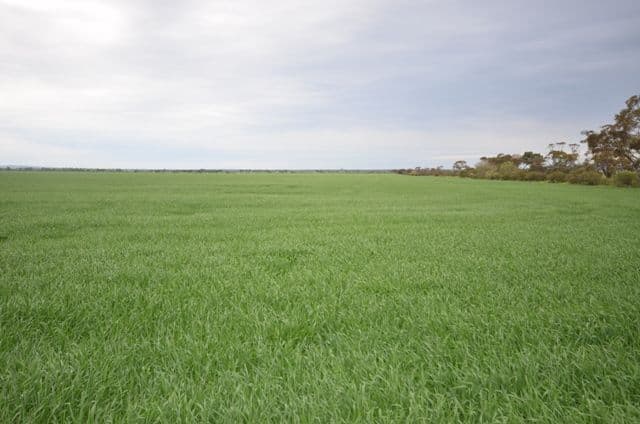 Lot 16 James Eckermann Road, HART SA 5464, Hart - Image 1