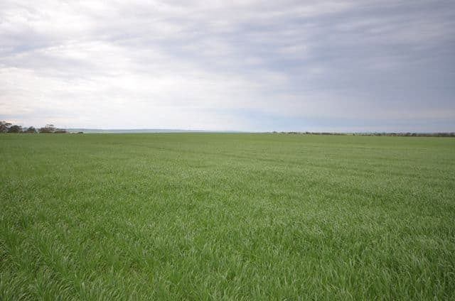 Lot 16 James Eckermann Road, HART SA 5464, Hart - Thumbnail 3
