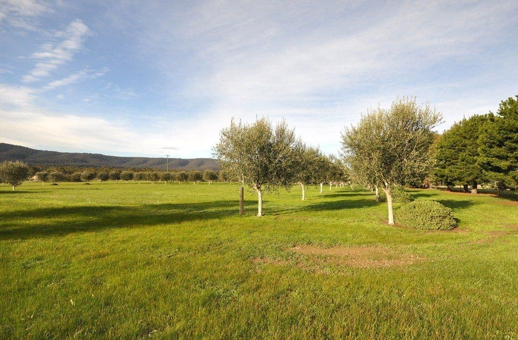 53 Hudswell Road, LANDSBOROUGH VIC 3384, Landsborough - Thumbnail 6