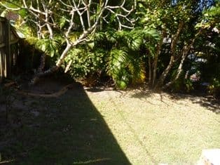 50 Albion Avenue, MIAMI QLD 4220, Miami - Thumbnail 4
