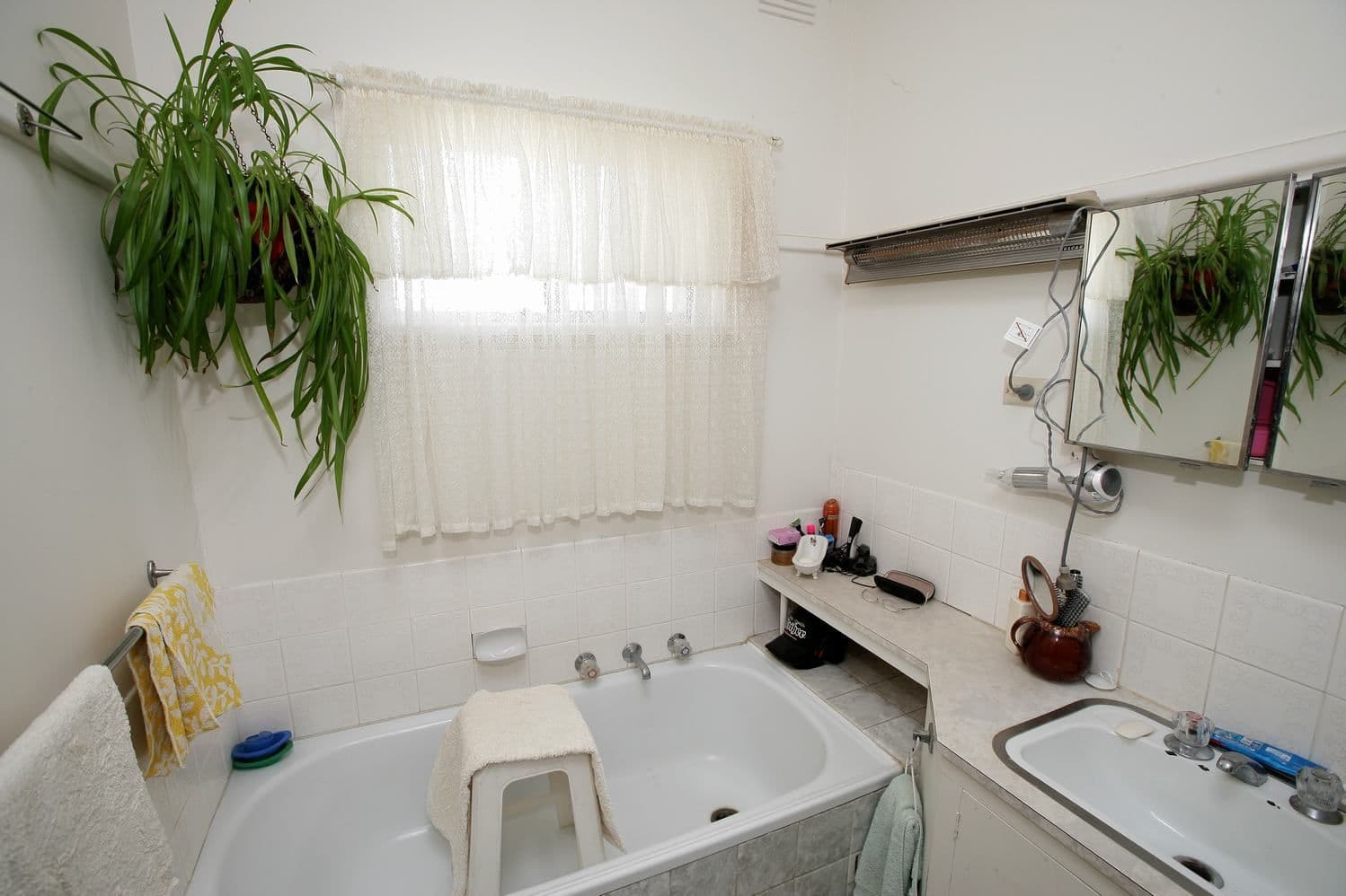 12 Ziegler Avenue, KOORINGAL NSW 2650, Kooringal - Thumbnail 5