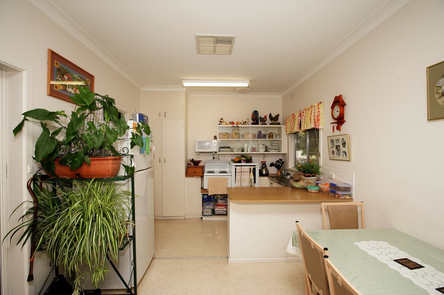 12 Ziegler Avenue, KOORINGAL NSW 2650, Kooringal - Thumbnail 4