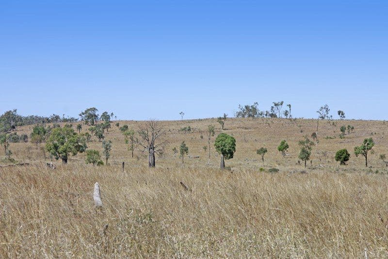 "Mt Kandoonan" Crowsdale-Camboon Road, THEODORE QLD 4719, Theodore - Thumbnail 4