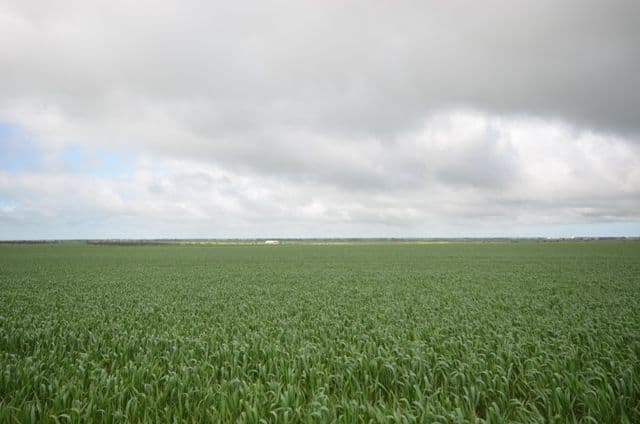 Various Secs Balaklava - Pt Wakefield Road, BOWMANS SA 5550, Bowmans - Thumbnail 8
