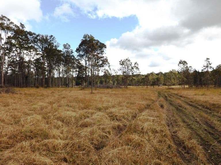 Lot 137 King's Creek Road, LAWRENCE NSW 2460, Lawrence - Thumbnail 3