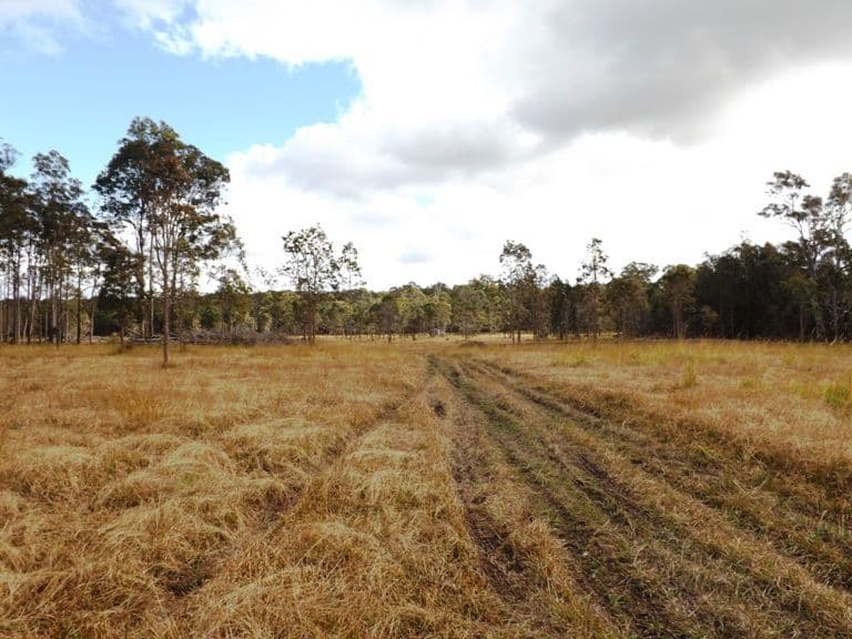 Lot 137 King's Creek Road, LAWRENCE NSW 2460, Lawrence - Thumbnail 2