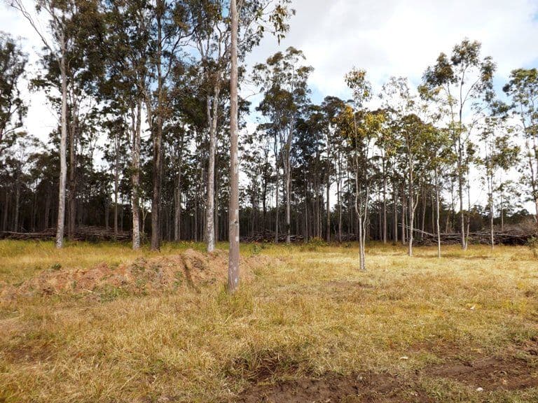Lot 137 King's Creek Road, LAWRENCE NSW 2460, Lawrence - Thumbnail 5