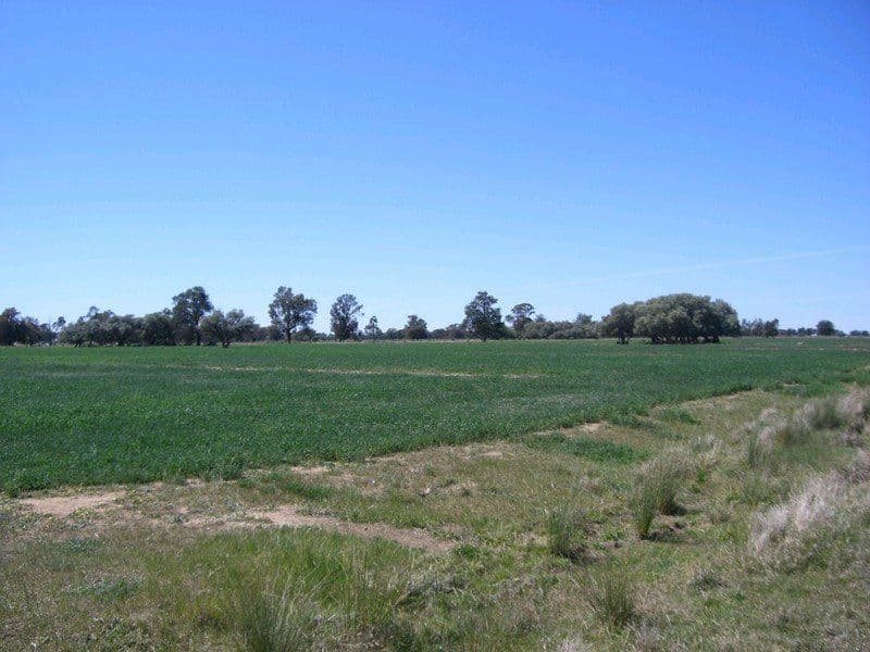 2,64 Monimail Road, DENILIQUIN NSW 2710, Deniliquin - Thumbnail 2