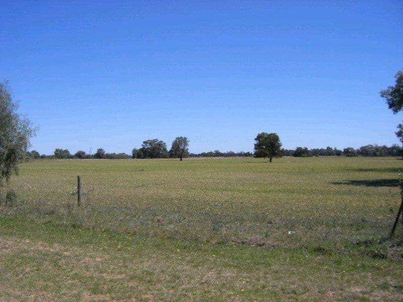 2,64 Monimail Road, DENILIQUIN NSW 2710, Deniliquin - Thumbnail 3