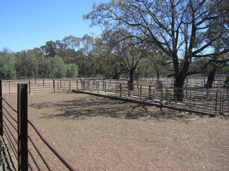 2,64 Monimail Road, DENILIQUIN NSW 2710, Deniliquin - Thumbnail 8