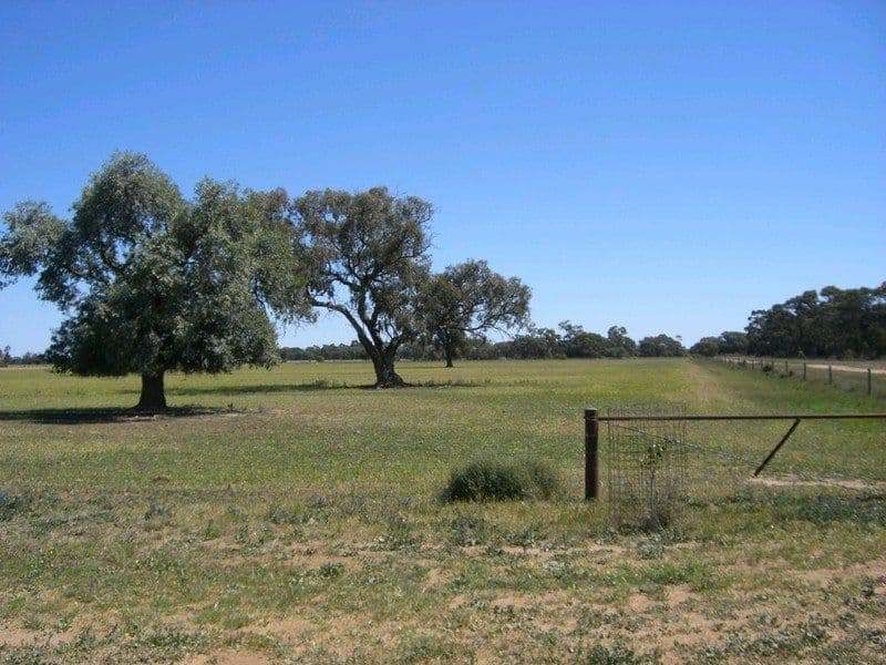 2,64 Monimail Road, DENILIQUIN NSW 2710, Deniliquin - Thumbnail 4