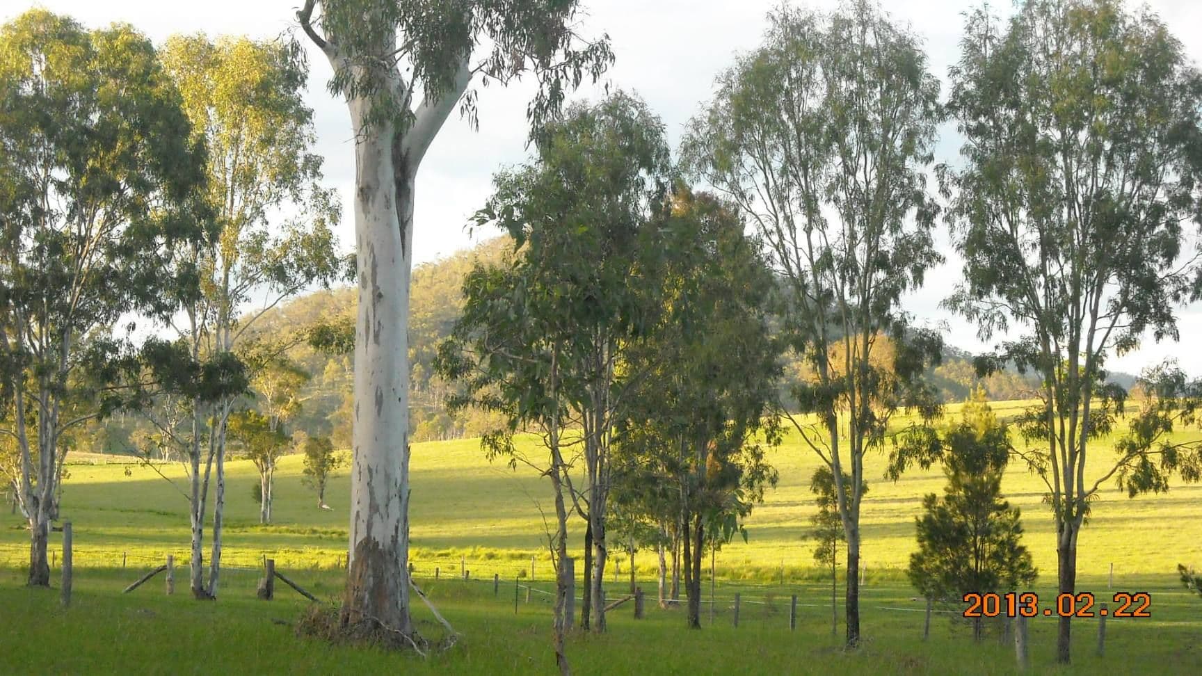 WIDGEE QLD 4570, Widgee - Thumbnail 4