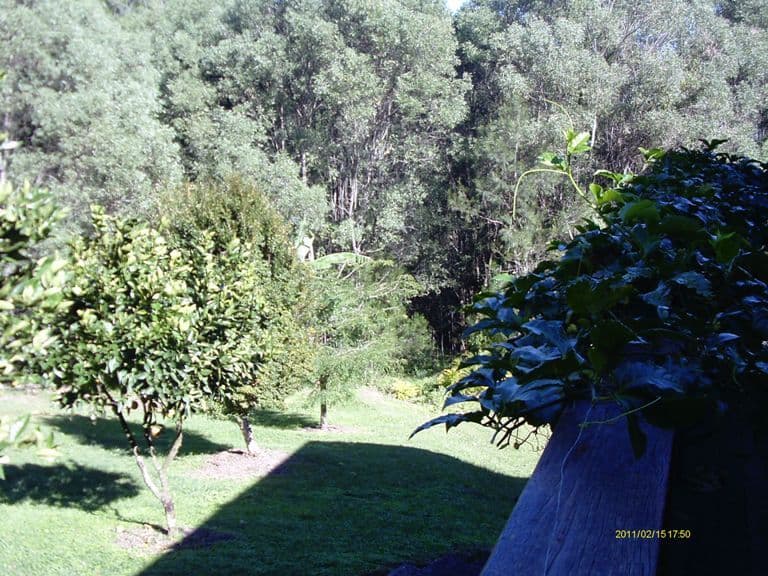 16 Islay, MACLEAN NSW 2463, Maclean - Thumbnail 6
