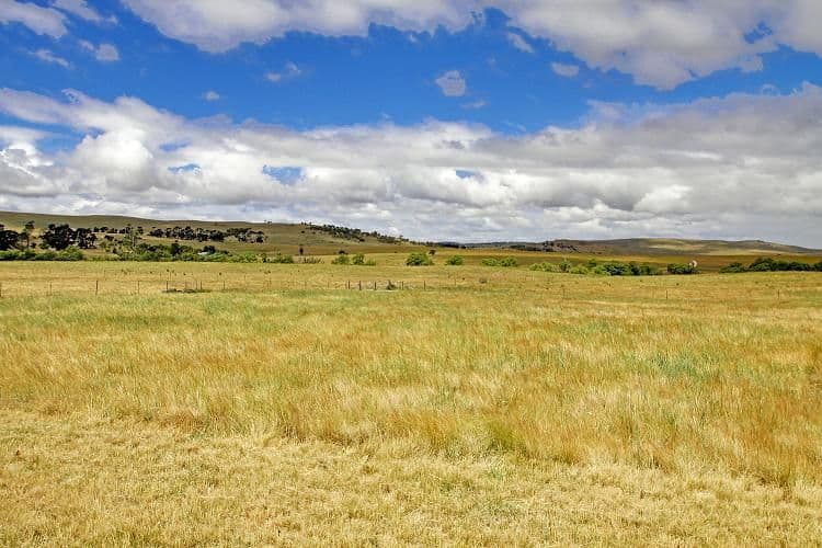1494 Gurrundah Road, GOULBURN NSW 2580, Goulburn - Thumbnail 2