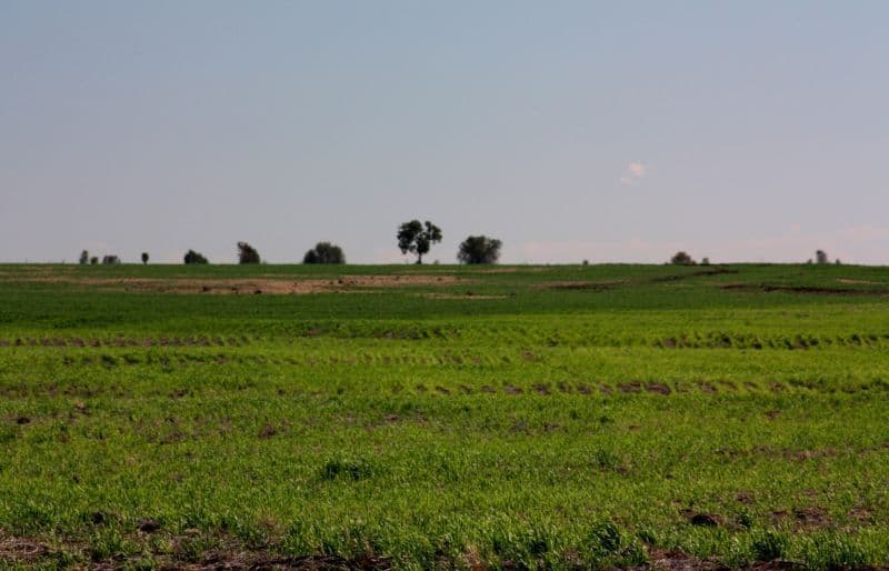 SPRINGSURE QLD 4722, Springsure - Thumbnail 6