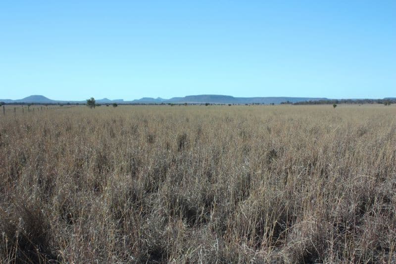 SPRINGSURE QLD 4722, Springsure - Thumbnail 2