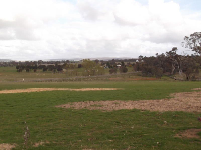 2610 Murringo Road, MURRINGO NSW 2586, Murringo - Image 1