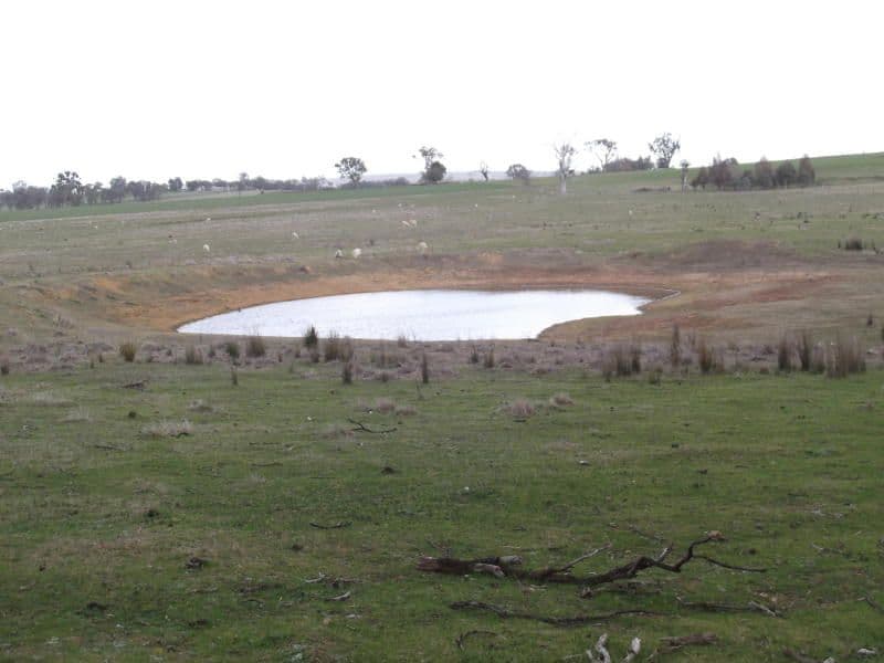 2610 Murringo Road, MURRINGO NSW 2586, Murringo - Thumbnail 4