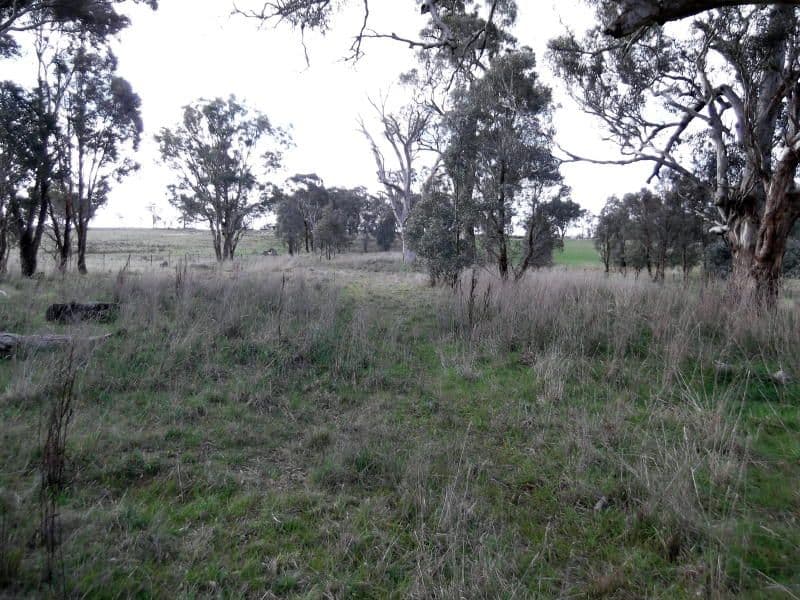 2610 Murringo Road, MURRINGO NSW 2586, Murringo - Thumbnail 2